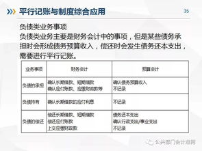 政府會計明細科目設置,政府會計科目設置的原則,政府會計科目設置要實現(xiàn)什么功能