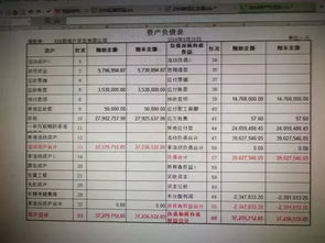 會(huì)計(jì)科目,類(lèi)型
