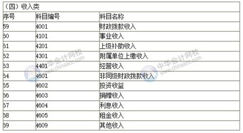 政府會計特有的會計科目,政府會計制度預算會計科目,政府會計常用會計科目