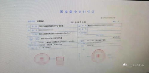 支付,財政,會計科目,歸集