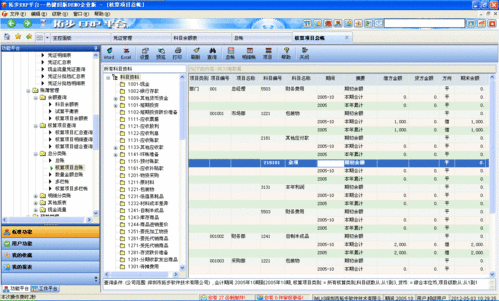 會計科目,erp