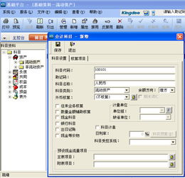 民辦學(xué)校,金蝶,會(huì)計(jì)科目