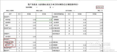 核算,合作社,會(huì)計(jì)科目,農(nóng)民