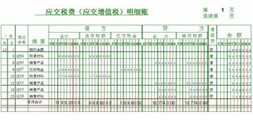 稅費(fèi),應(yīng)交,準(zhǔn)則,會(huì)計(jì)科目