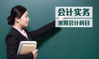 資產(chǎn)類會計(jì)科目增加計(jì)入借方