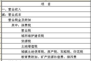 計提個稅進(jìn)哪個會計科目