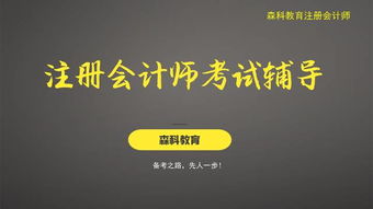 攤余成本會(huì)計(jì)科目
