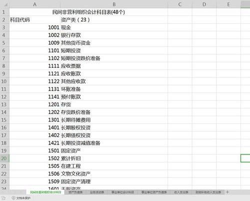 非盈利企業(yè)會計(jì)會計(jì)科目編碼