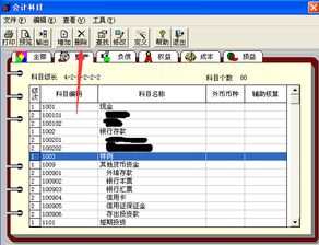 用友授權(quán)會計(jì)科目功能