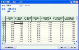下設(shè),核算,會計科目,項目