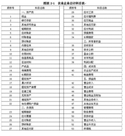 圖書計入哪個會計科目,圖書進(jìn)什么會計科目,公司購買圖書會計科目