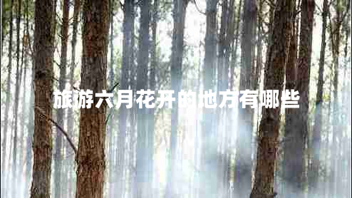 旅游六月花開的地方有哪些