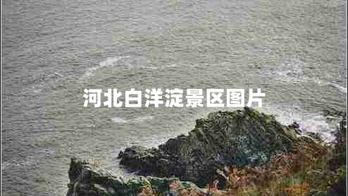 河北白洋淀景區(qū)圖片