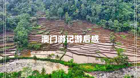 澳門游記游后感