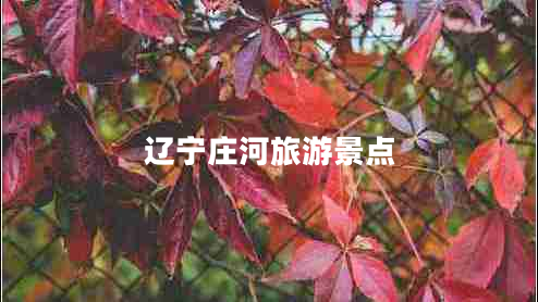 遼寧莊河旅游景點
