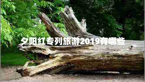 夕陽紅專列旅游2019有哪些