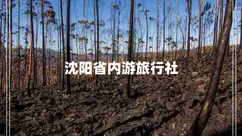 沈陽(yáng)省內(nèi)游旅行社