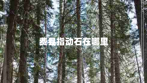 費(fèi)縣指動(dòng)石在哪里