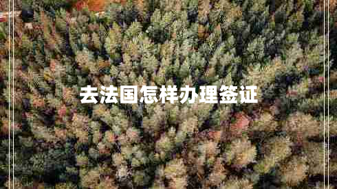 去法國(guó)怎樣辦理簽證