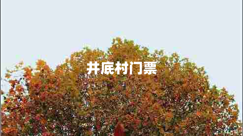 井底村門票