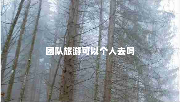 團(tuán)隊(duì)旅游可以個(gè)人去嗎