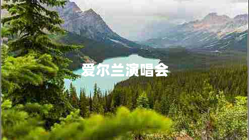 愛爾蘭演唱會