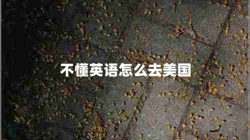 不懂英語怎么去美國