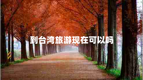 到臺灣旅游現(xiàn)在可以嗎
