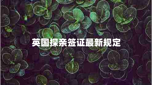 英國(guó)探親簽證最新規(guī)定