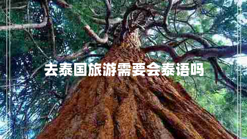 去泰國旅游需要會泰語嗎