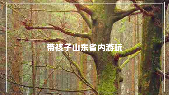 帶孩子山東省內(nèi)游玩