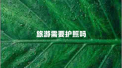 旅游需要護(hù)照嗎