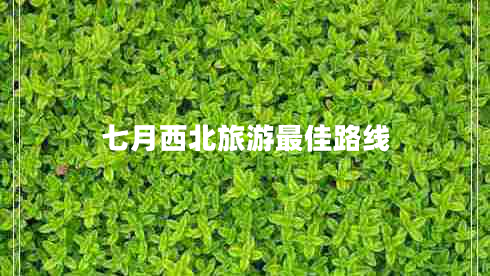 七月西北旅游最佳路線