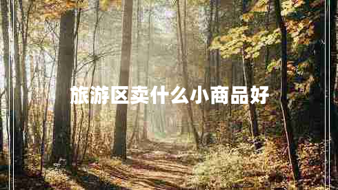 旅游區(qū)賣什么小商品好
