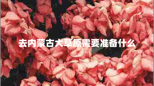 去內(nèi)蒙古大草原需要準(zhǔn)備什么