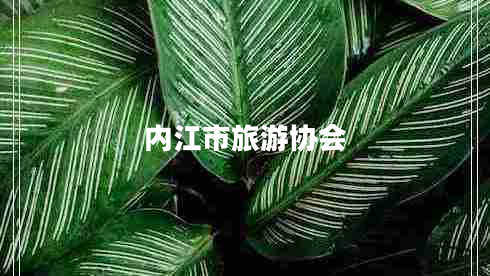 內(nèi)江市旅游協(xié)會