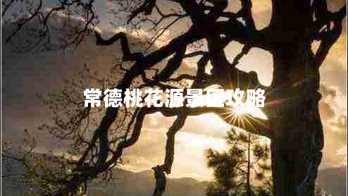 常德桃花源景區(qū)攻略
