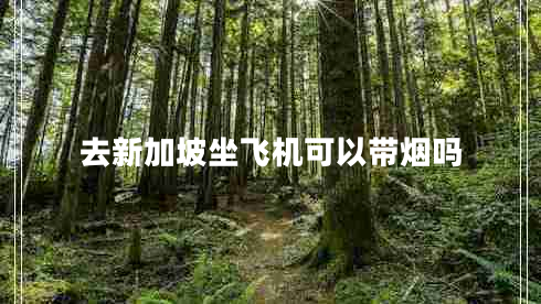 去新加坡坐飛機(jī)可以帶煙嗎