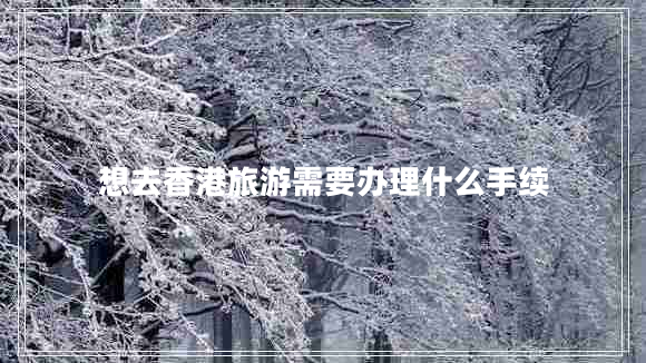 想去香港旅游需要辦理什么手續(xù)