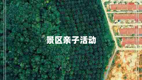 景區(qū)親子活動(dòng)