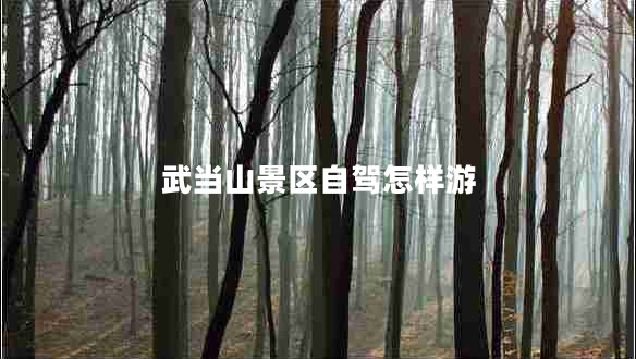 武當(dāng)山景區(qū)自駕怎樣游