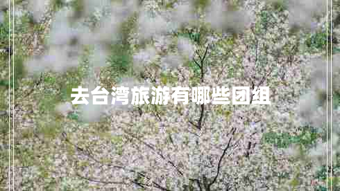 去臺(tái)灣旅游有哪些團(tuán)組