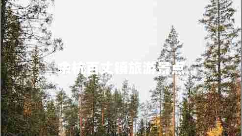 余杭百丈鎮(zhèn)旅游景點(diǎn)