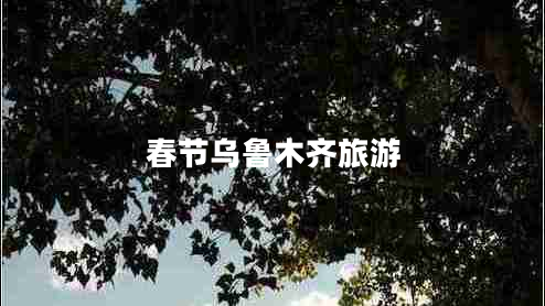 春節(jié)烏魯木齊旅游