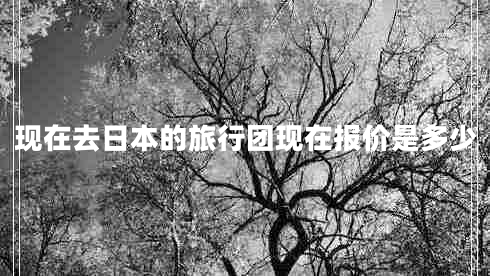 現(xiàn)在去日本的旅行團(tuán)現(xiàn)在報(bào)價(jià)是多少