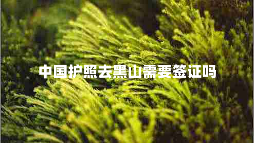 中國護(hù)照去黑山需要簽證嗎