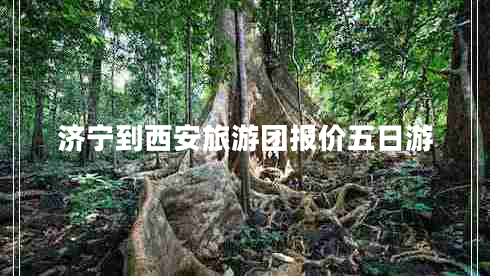 濟寧到西安旅游團報價五日游