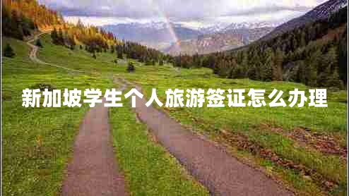 新加坡學生個人旅游簽證怎么辦理
