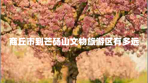商丘市到芒碭山文物旅游區(qū)有多遠(yuǎn)
