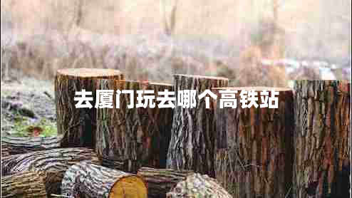 去廈門玩去哪個高鐵站